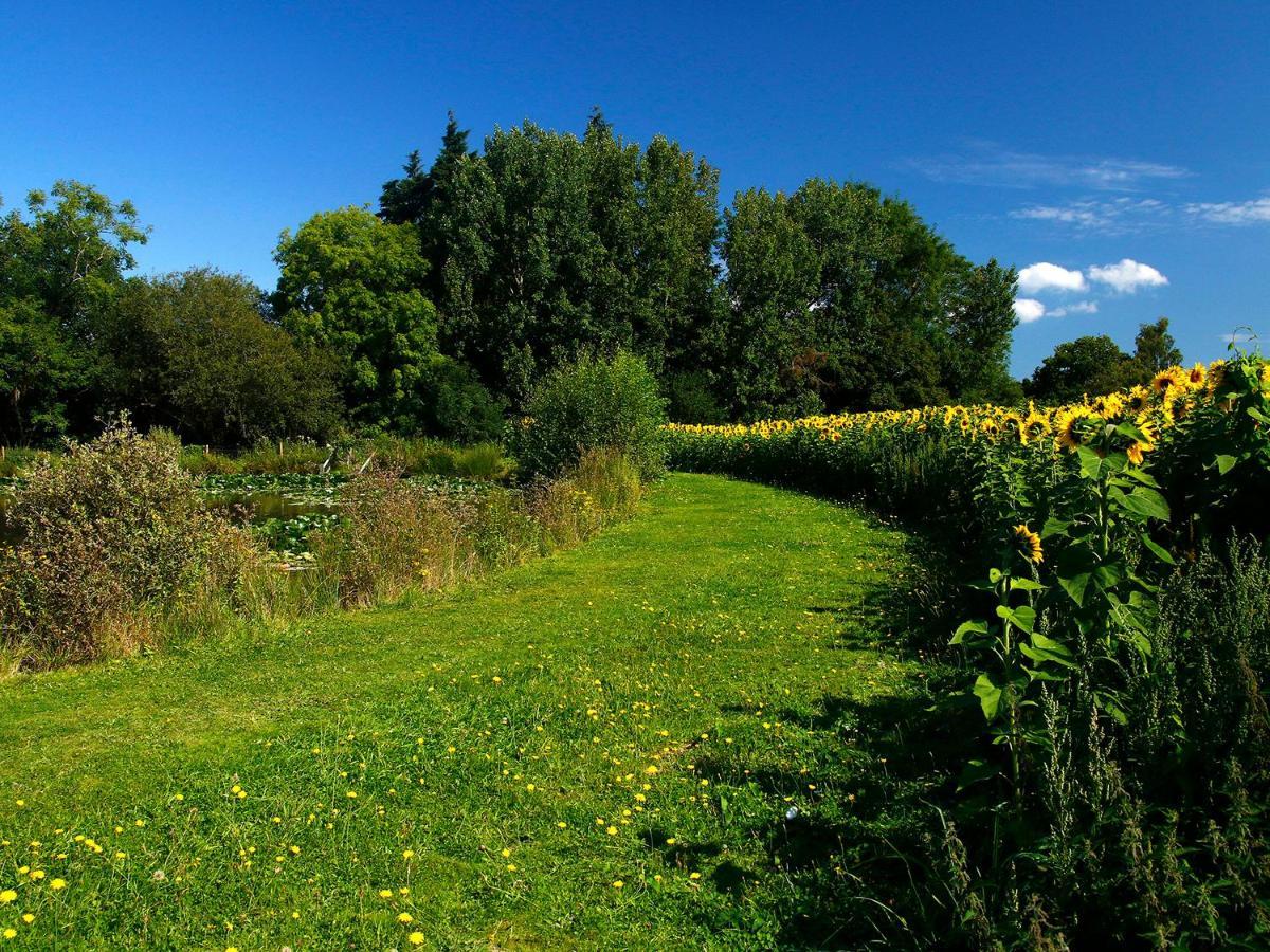 Birch Lodge Newton Abbot Exteriör bild